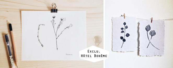 modernbotanics